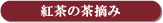 �g���̒��E��